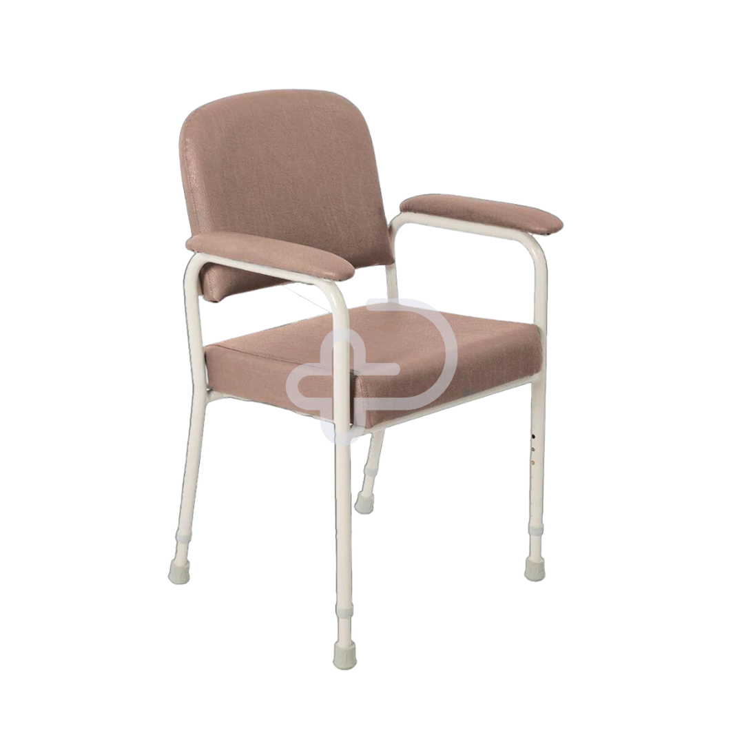 Aspire Low Back Classic Day Chair Champagne Chairs