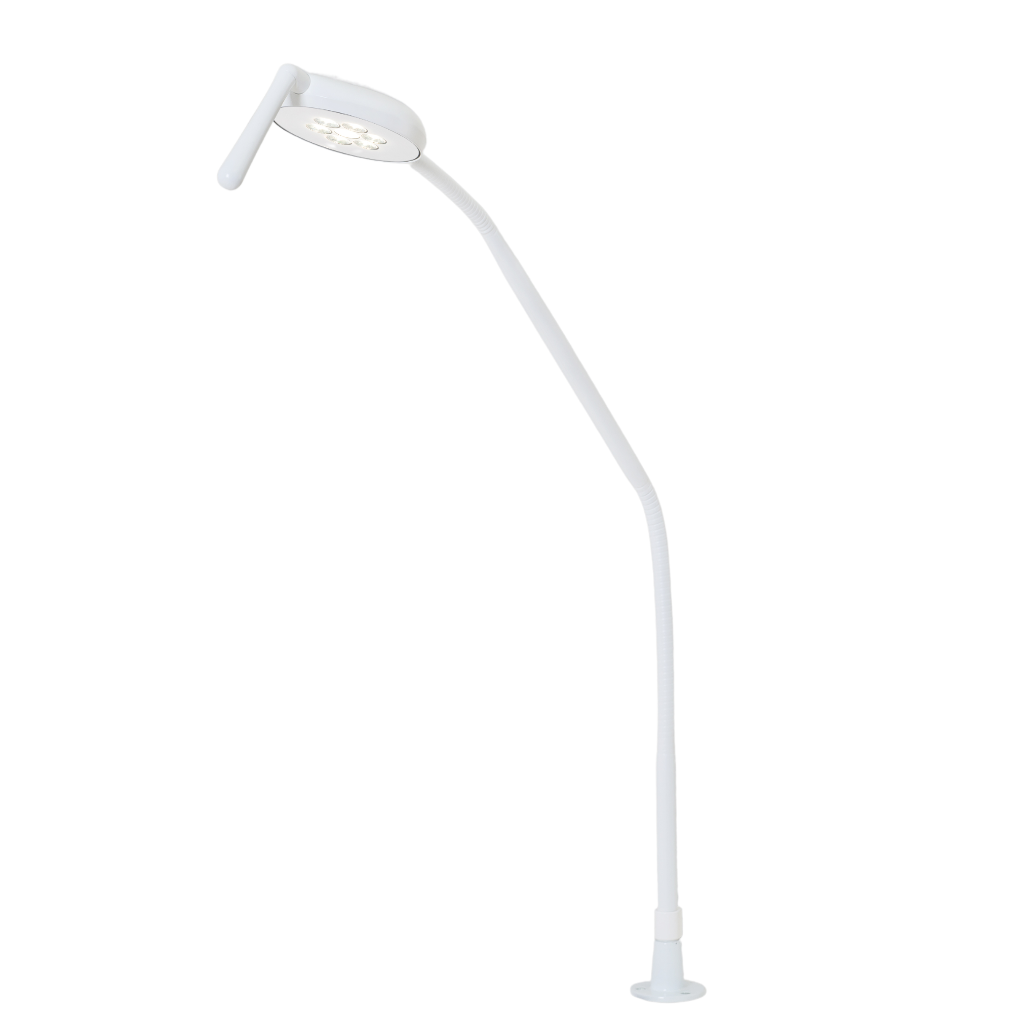 Flexled Examination Light Desk Mount Permanent Screws Medical Lighting Products