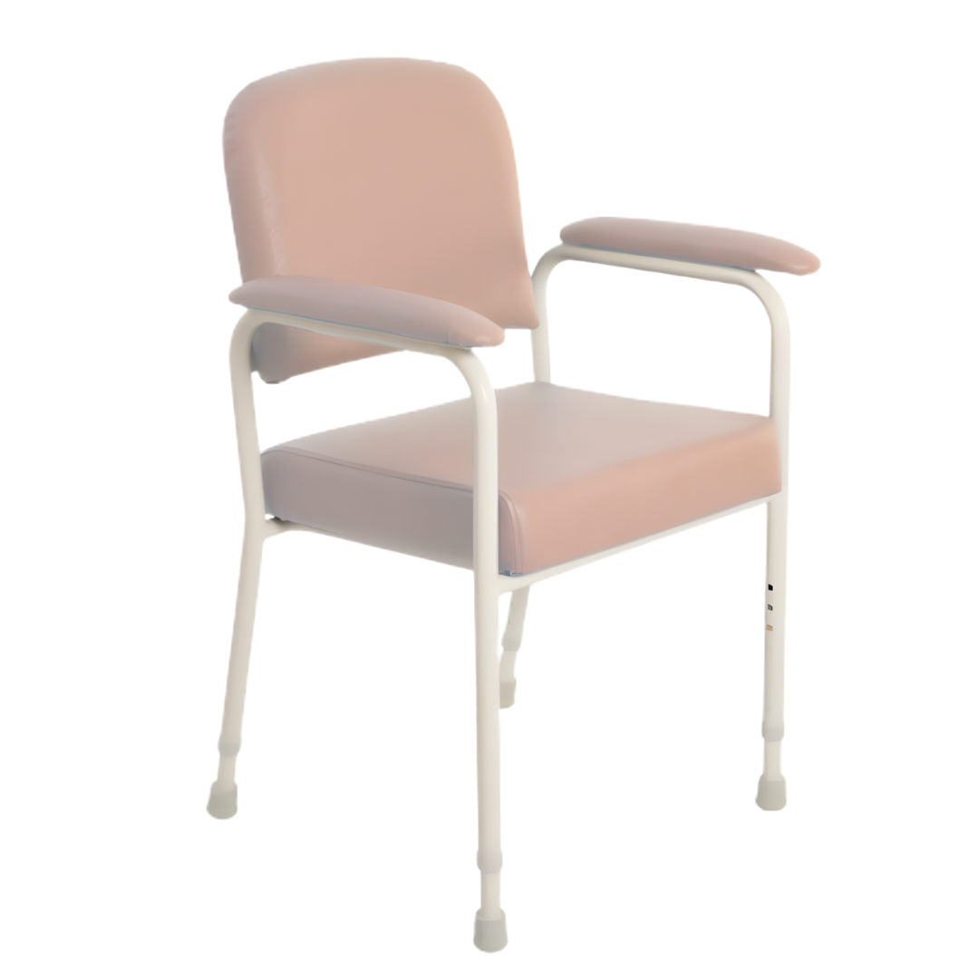 Aspire Low Back Classic Day Orthopaedic Chair in Champagne and Slate, offering supportive seating and comfort for aged care and home environments.