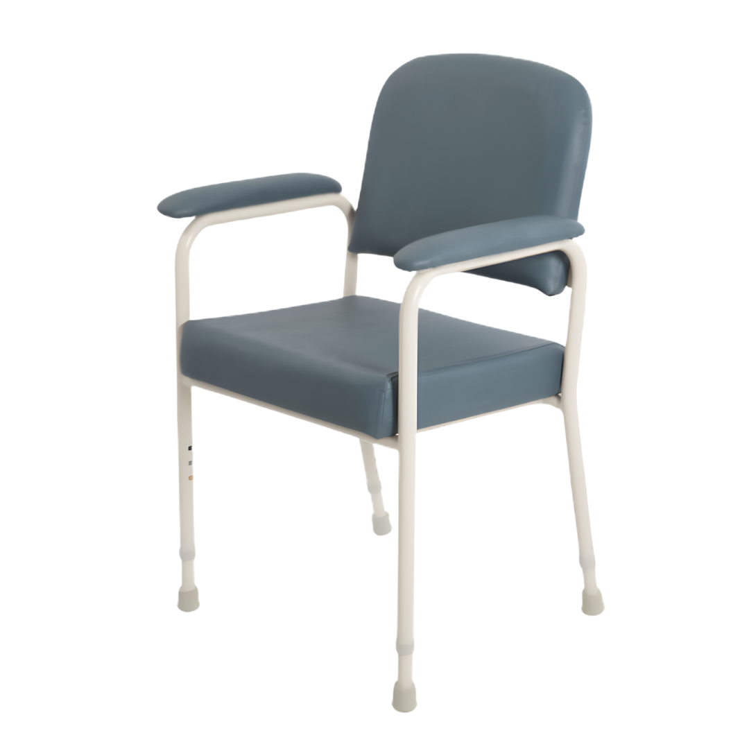 Aspire Low Back Classic Day Orthopaedic Chair in Champagne and Slate, offering supportive seating and comfort for aged care and home environments.