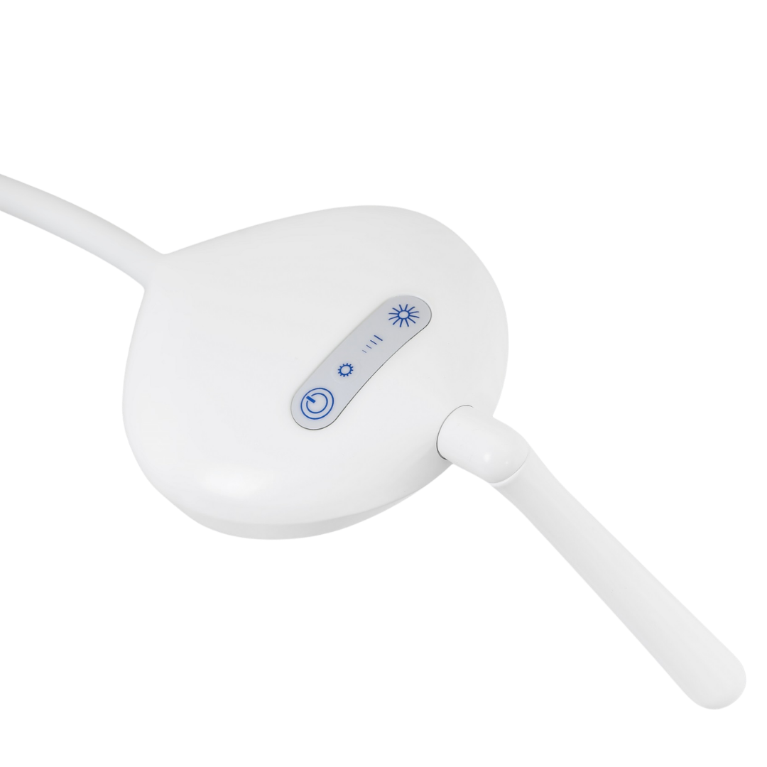 FlexLED Examination Light with wall mount, featuring a flexible arm and bright LED illumination for clinical assessments, wound care, and general examinations.